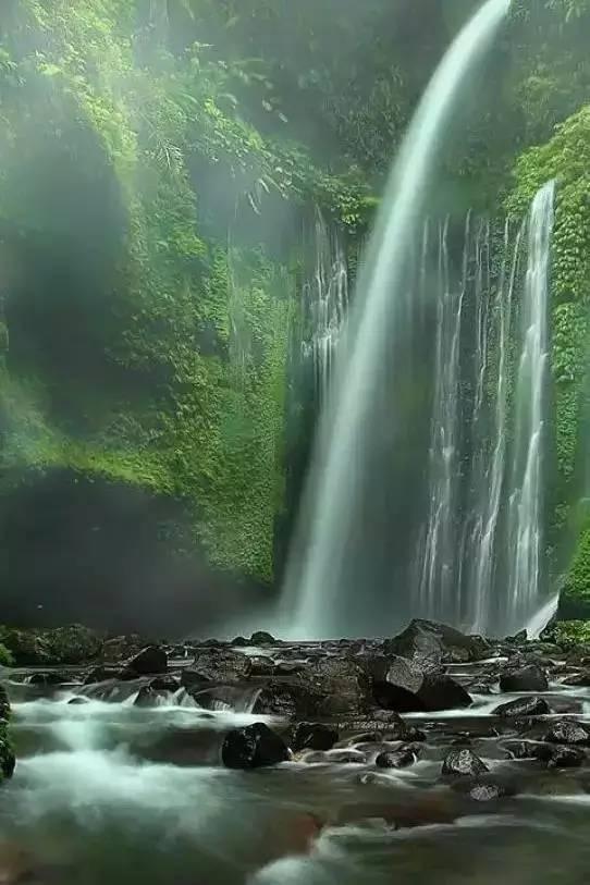 来个懂电子商务的，我要玩玩电子商务，赔了就去自杀游戏画面