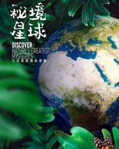 身家上亿的老板归隐终南山,出家10年后,面对家人:形同陌路