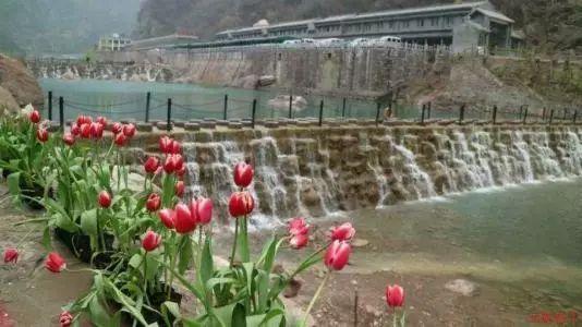 什么牌子的空气炸锅质量好?六招超实用选购干货总结