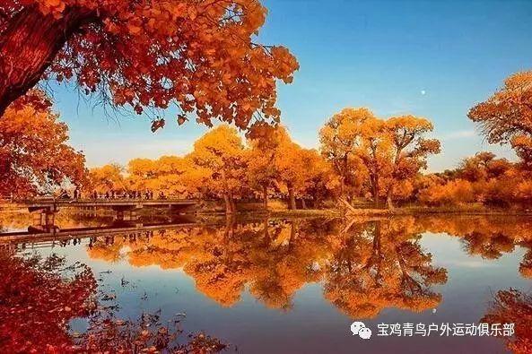重庆高考成绩555分位次在一万九千名报哪些大学？游戏画面