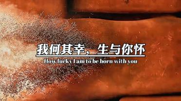 拯救蝙蝠家族