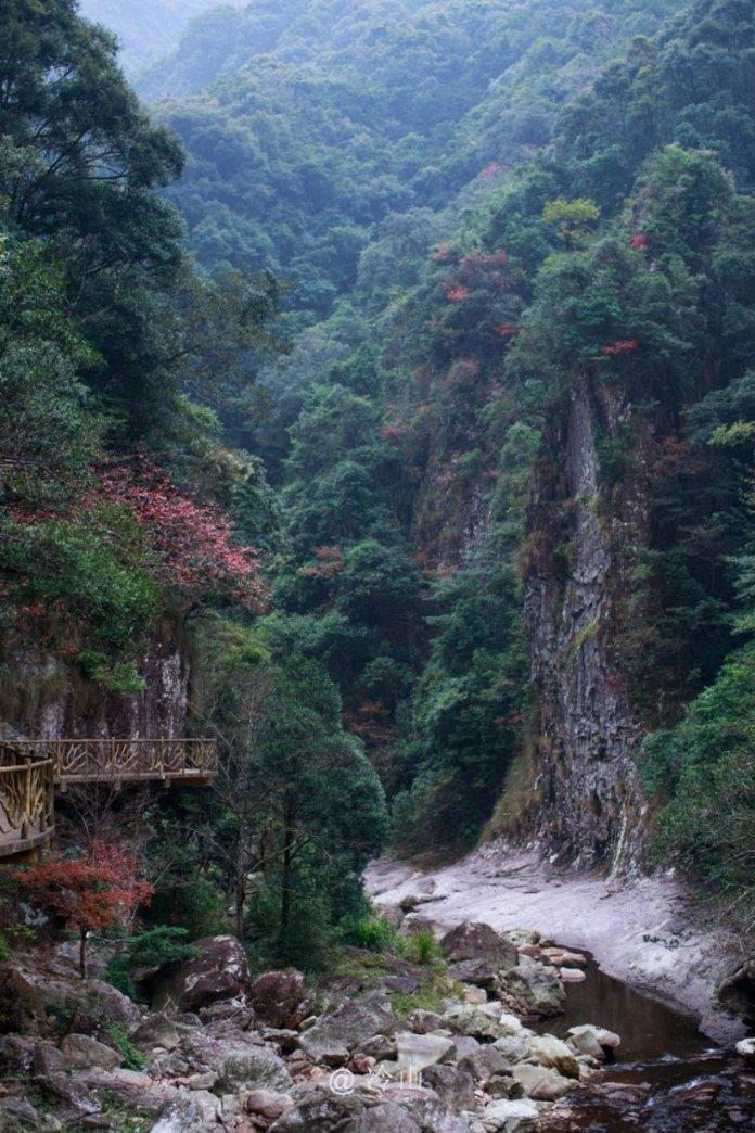 为什么苹果在水果中占有很高的地位？游戏画面