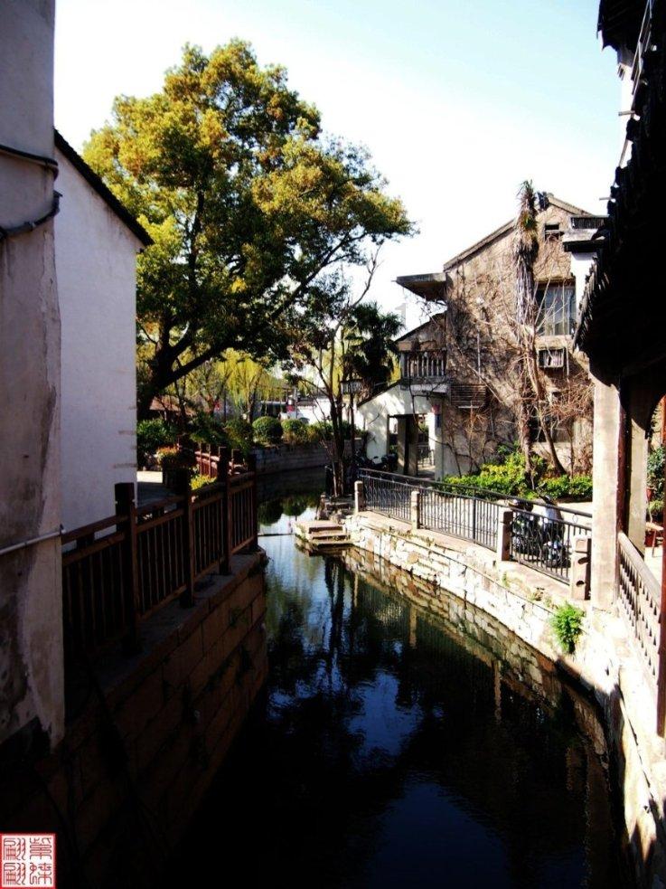 这5种蔬菜,不焯水等于在“服毒”,建议:吃之前要记得先焯水